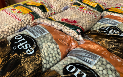 De las parroquias al corazón de los más necesitados: 2.600 kilos donados con fe y solidaridad