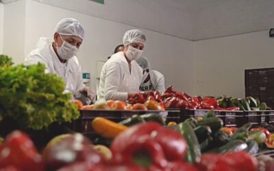 ¿Más Hambre en Colombia? Una Decisión Legislativa Podría Agravar la  Crisis Alimentaria en Colombia