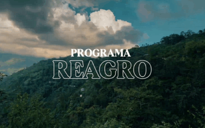Programa REAGRO fortalece la seguridad alimentaria mediante recuperación de excedentes agrícolas en Colombia